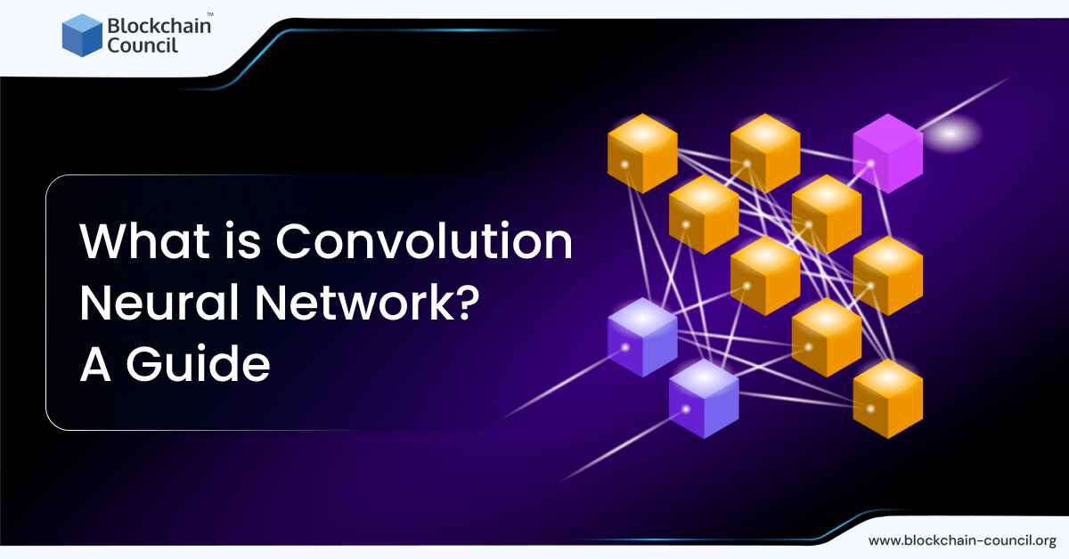 What is Convolution Neural Network? A Guide