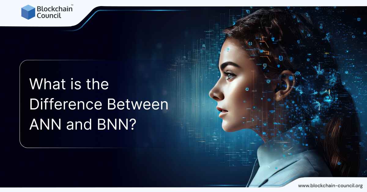 What is the Difference Between ANN and BNN?