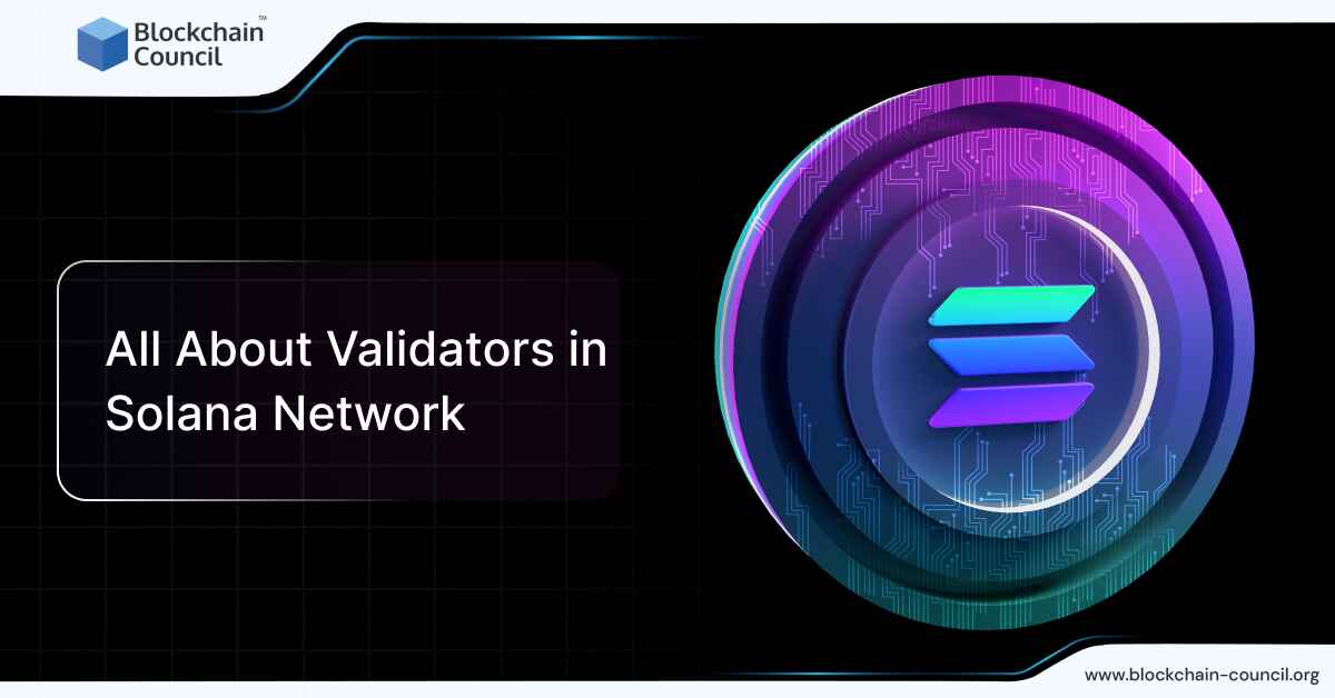 All About Validators in Solana Network