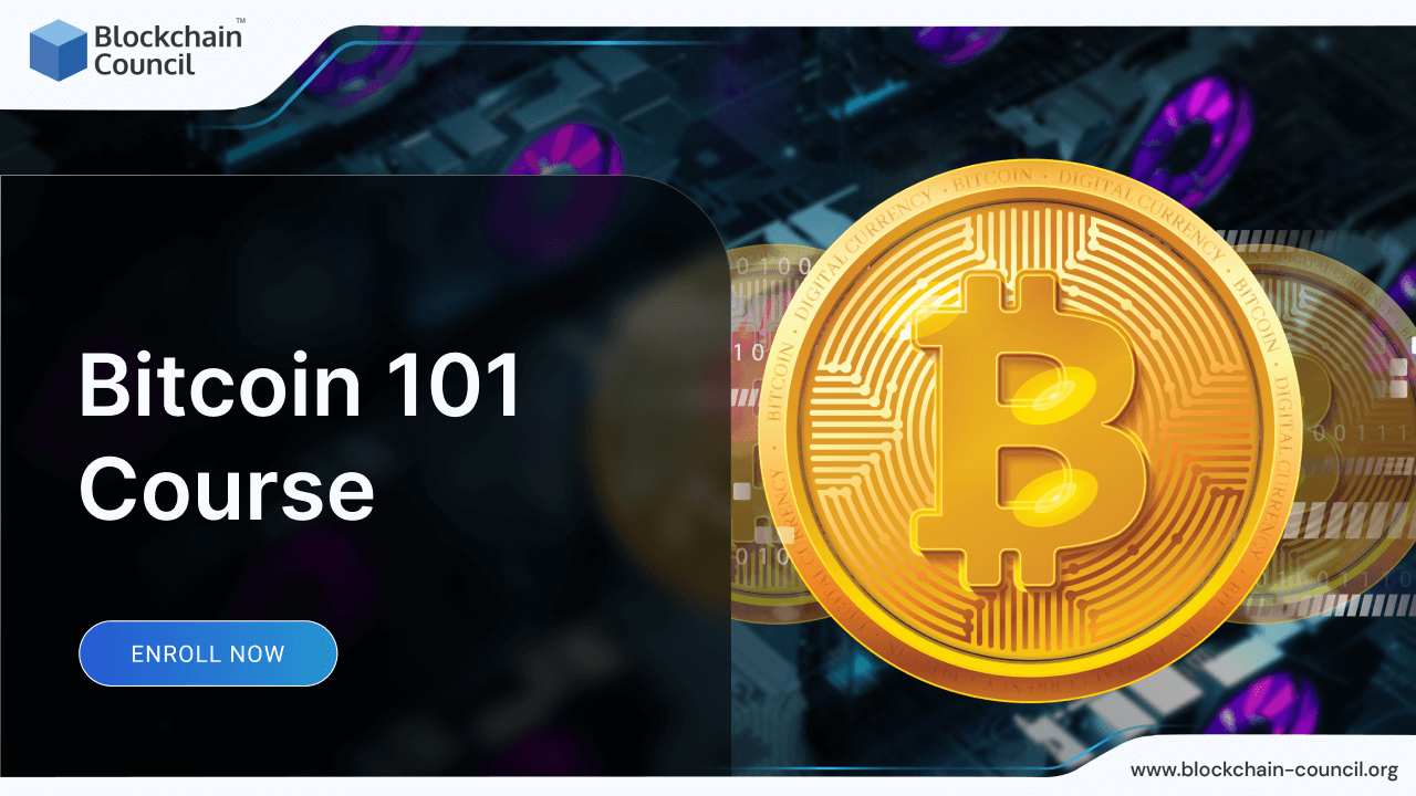 Bitcoin 101 Course 