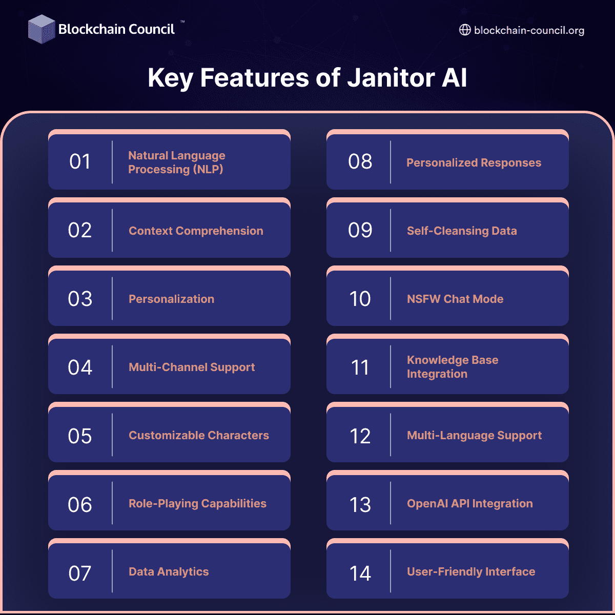 Key Features of Janitor AI (1)