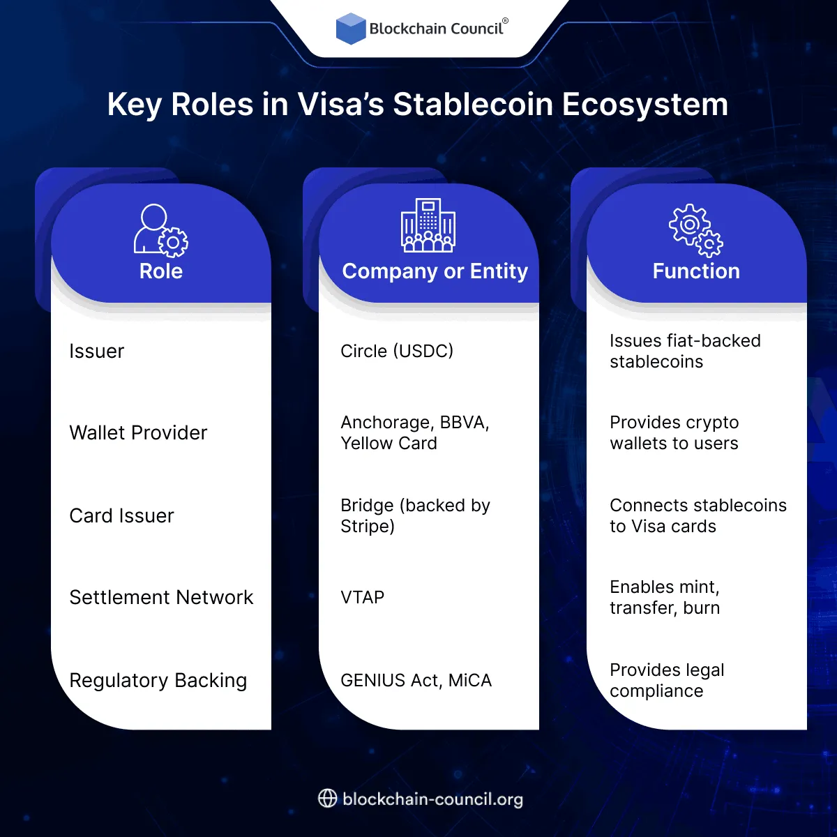 Key Roles in Visa’s Stablecoin Ecosystem