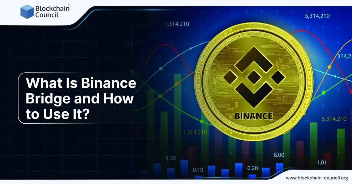 What Is Binance Bridge and How to Use It?