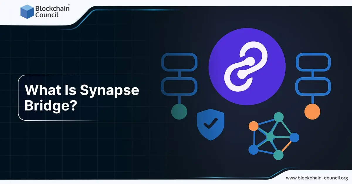What Is Synapse Bridge?