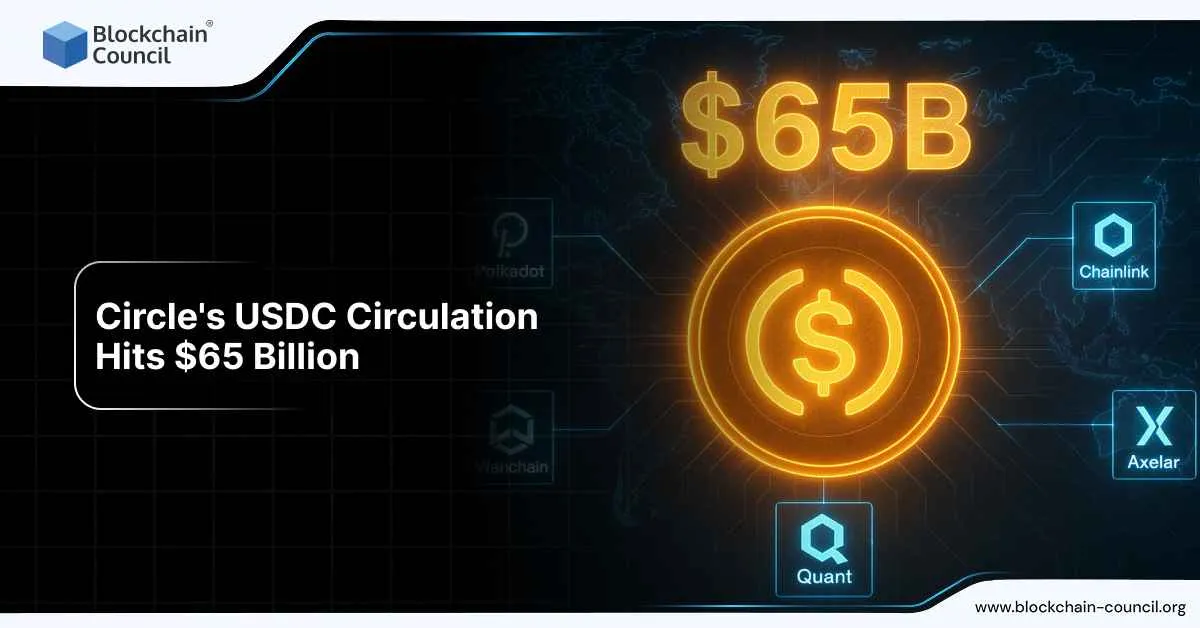 Circle’s USDC Circulation Hits $65 Billion