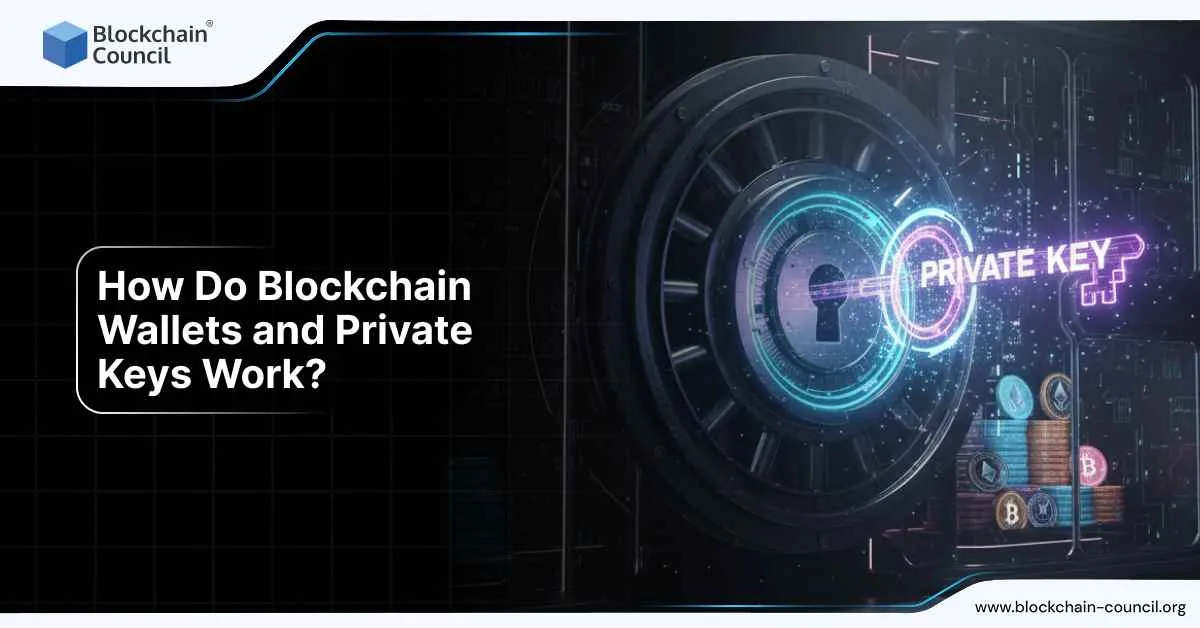 How Do Blockchain Wallets and Private Keys Work?