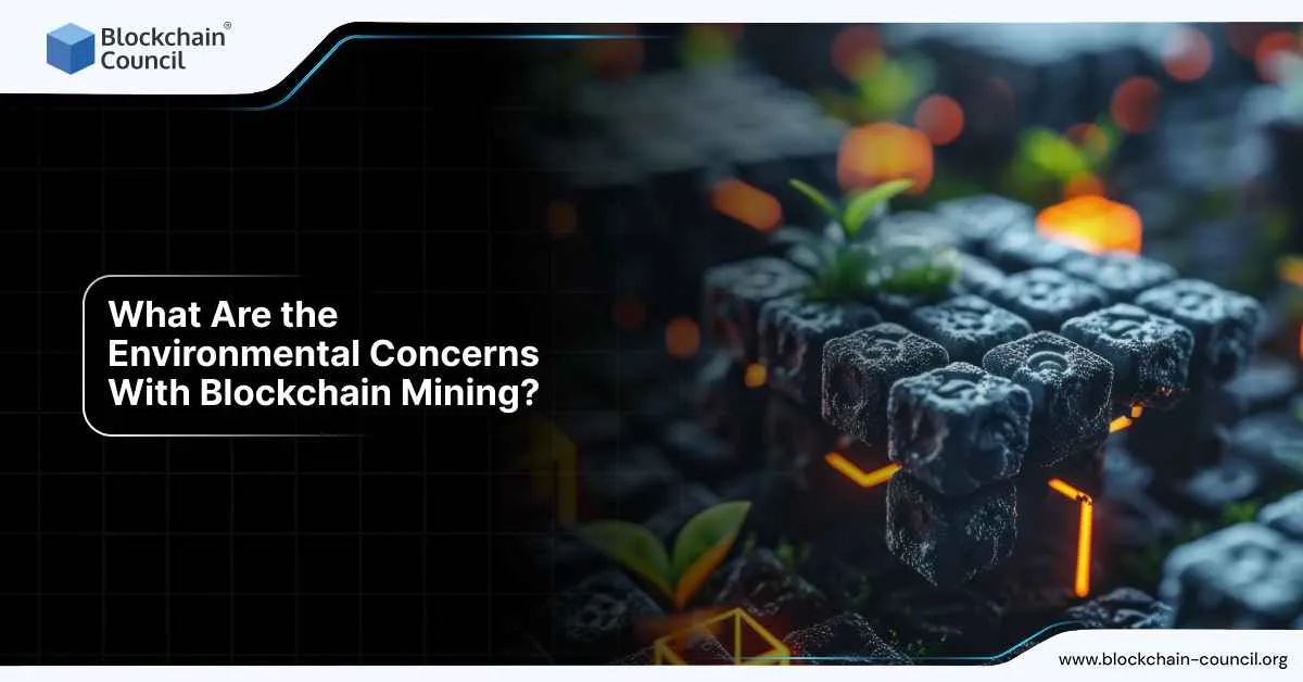 What Are the Environmental Concerns With Blockchain Mining?