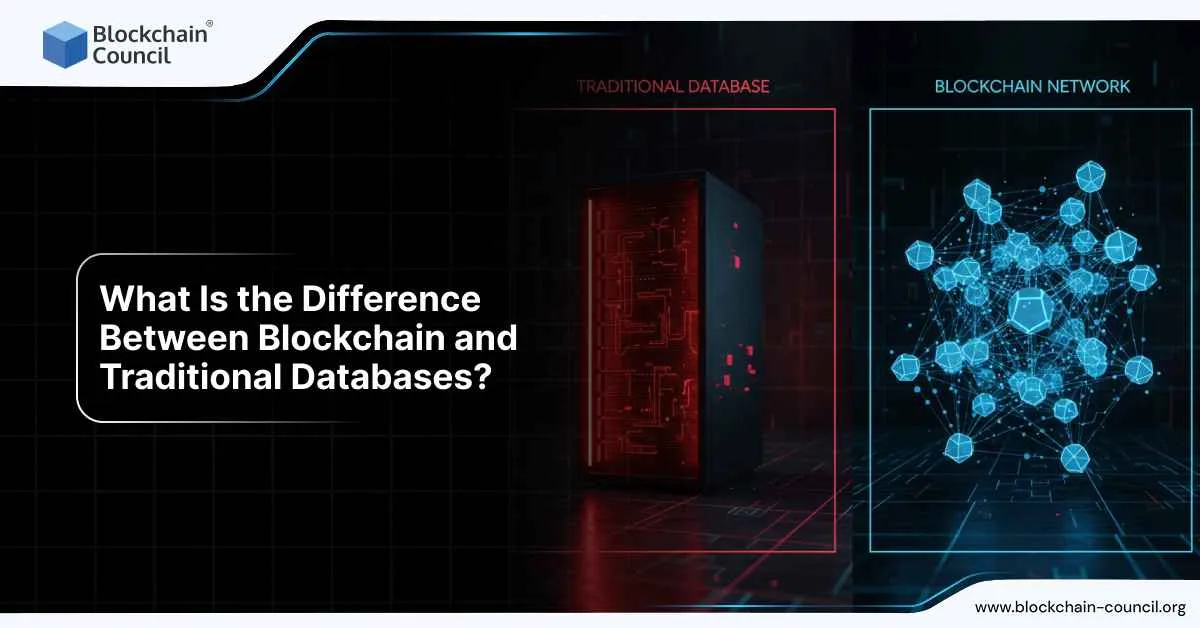 What Is the Difference Between Blockchain and Traditional Databases?