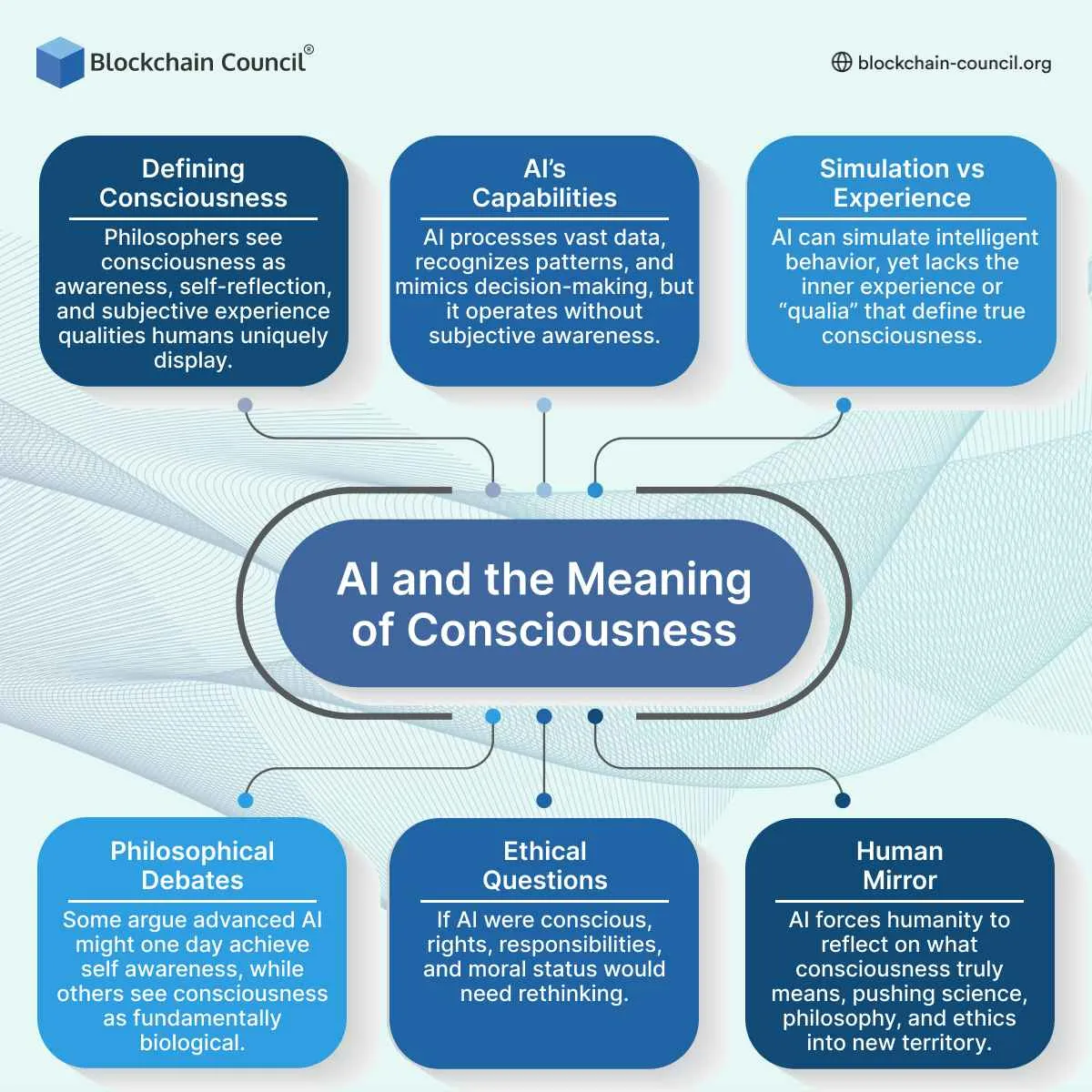 AI and the Meaning of Consciousness