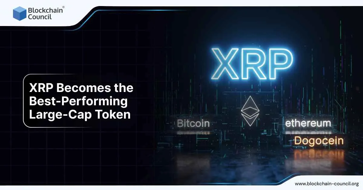 XRP Becomes the Best-Performing Large-Cap Token