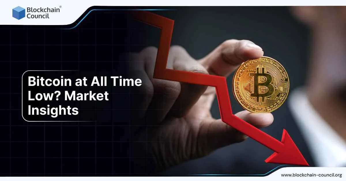 Bitcoin at All Time Low? Market Insights